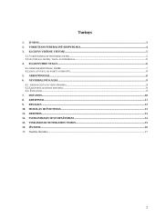 Etiketo Vokietijoje analizė 2 puslapis