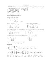 Matematika - tiesinių lygčių sistemos 3 puslapis
