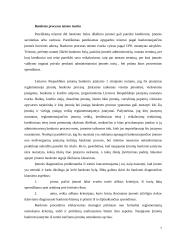 Įmonių bankroto teisinis reguliavimas 7 puslapis