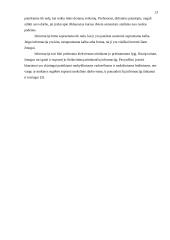 Informacijos sąvoka ir jos interpretacijos 9 puslapis