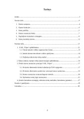 Kainodaros organizavimas: šildymo įranga UAB "Vilpra" 2 puslapis