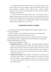 Kainodaros organizavimas: šildymo įranga UAB "Vilpra" 11 puslapis