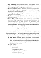 Kainodaros organizavimas: šildymo įranga UAB "Vilpra" 12 puslapis