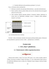 Kainodaros organizavimas: šildymo įranga UAB "Vilpra" 13 puslapis