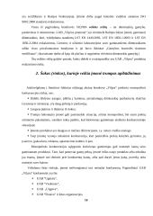 Kainodaros organizavimas: šildymo įranga UAB "Vilpra" 16 puslapis