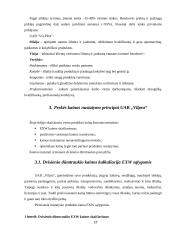 Kainodaros organizavimas: šildymo įranga UAB "Vilpra" 17 puslapis