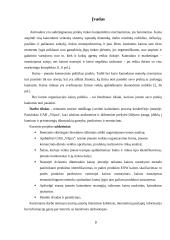 Kainodaros organizavimas: šildymo įranga UAB "Vilpra" 3 puslapis