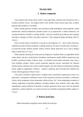 Kainodaros organizavimas: šildymo įranga UAB "Vilpra" 4 puslapis