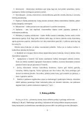 Kainodaros organizavimas: šildymo įranga UAB "Vilpra" 5 puslapis