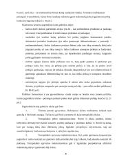 Kainodaros organizavimas: šildymo įranga UAB "Vilpra" 6 puslapis