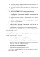 Kainodaros organizavimas: šildymo įranga UAB "Vilpra" 8 puslapis