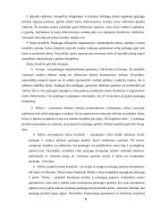 Kainodaros organizavimas: šildymo įranga UAB "Vilpra" 9 puslapis