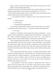 Kainodaros organizavimas: šildymo įranga UAB "Vilpra" 10 puslapis