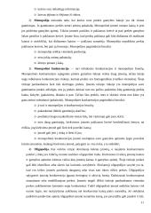 Kainodaros organizavimas: UAB "Tekstilė" 11 puslapis