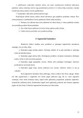 Kainodaros organizavimas: UAB "Tekstilė" 13 puslapis