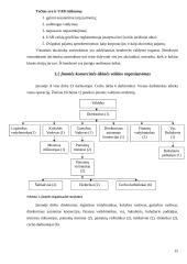 Kainodaros organizavimas: UAB "Tekstilė" 15 puslapis