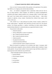 Kainodaros organizavimas: UAB "Tekstilė" 17 puslapis