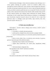 Kainodaros organizavimas: UAB "Tekstilė" 19 puslapis