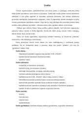 Kainodaros organizavimas: UAB "Tekstilė" 3 puslapis