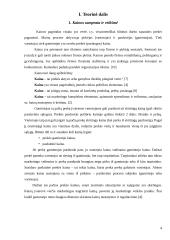 Kainodaros organizavimas: UAB "Tekstilė" 4 puslapis