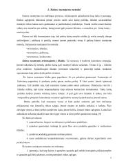 Kainodaros organizavimas: UAB "Tekstilė" 5 puslapis