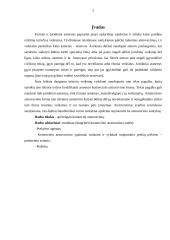 Komercinio atstovavimo sudėtis 2 puslapis