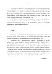 Komercinio atstovavimo sudėtis 11 puslapis