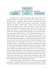 Komercinio atstovavimo sudėtis 5 puslapis