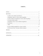 Lietuvos Didžiosios Kunigaikštystės (LDK) teisinė padėtis po Liublino unijos 1569 metais 2 puslapis