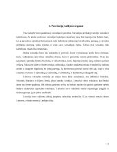 Lietuvos Didžiosios Kunigaikštystės (LDK) teisinė padėtis po Liublino unijos 1569 metais 11 puslapis