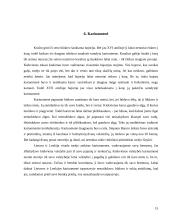 Lietuvos Didžiosios Kunigaikštystės (LDK) teisinė padėtis po Liublino unijos 1569 metais 15 puslapis