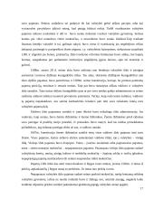 Lietuvos Didžiosios Kunigaikštystės (LDK) teisinė padėtis po Liublino unijos 1569 metais 17 puslapis