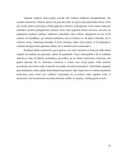 Lietuvos Didžiosios Kunigaikštystės (LDK) teisinė padėtis po Liublino unijos 1569 metais 10 puslapis