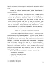 Lizingo ir pirkimo-pardavimo teisinių santykių lyginamoji analizė 13 puslapis