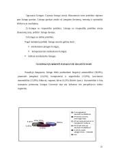 Lizingo ir pirkimo-pardavimo teisinių santykių lyginamoji analizė 20 puslapis