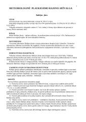 Navigacija 3 puslapis