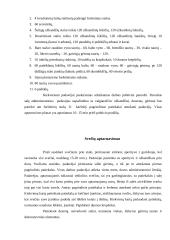 Teminio vakarėlio organizavimas: "Flamenko - ugnies šokis" 12 puslapis
