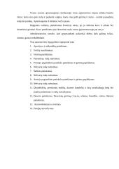 Teminio vakarėlio organizavimas: "Flamenko - ugnies šokis" 13 puslapis