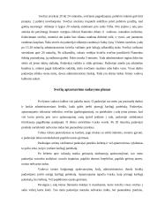 Teminio vakarėlio organizavimas: "Flamenko - ugnies šokis" 7 puslapis