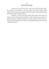 Terminio apdorojimo organizavimas restorane 19 puslapis