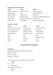 Terminio apdorojimo organizavimas restorane 4 puslapis