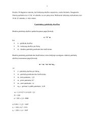 Terminio apdorojimo organizavimas restorane 6 puslapis