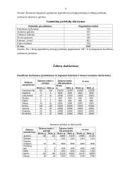 Terminio apdorojimo organizavimas restorane 8 puslapis
