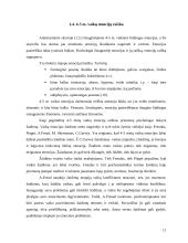 Vaikų emocijos ir jų raiška 11 puslapis
