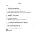 Vaikų teisų apsauga 2 puslapis