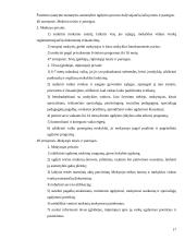 Vaikų teisų apsauga 17 puslapis