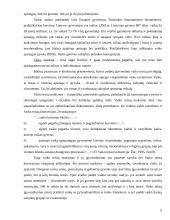 Vaikų teisų apsauga 6 puslapis