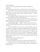 Vokietija: istorija, geopolitinė padėtis, ekonominė situacija 11 puslapis