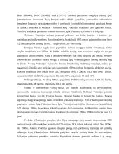 Vokietija: istorija, geopolitinė padėtis, ekonominė situacija 17 puslapis