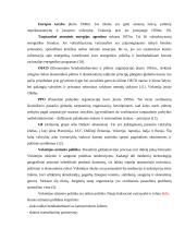 Vokietija: istorija, geopolitinė padėtis, ekonominė situacija 10 puslapis